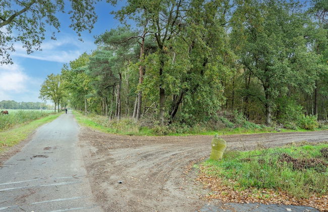 Holiday Home in Goirle With Sauna - Photo 36