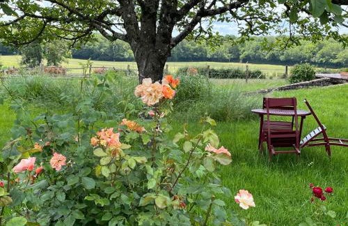 Mare aux nénuphars - Foto 24