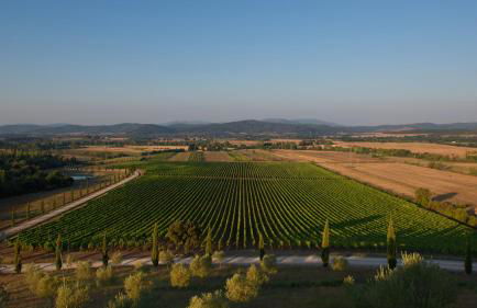 Wine Resort Conti di San Bonifacio - Foto 57