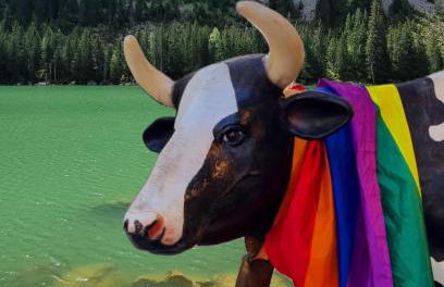 Chalet Arpitan - les Carroz - Grand Massif - Foto 43