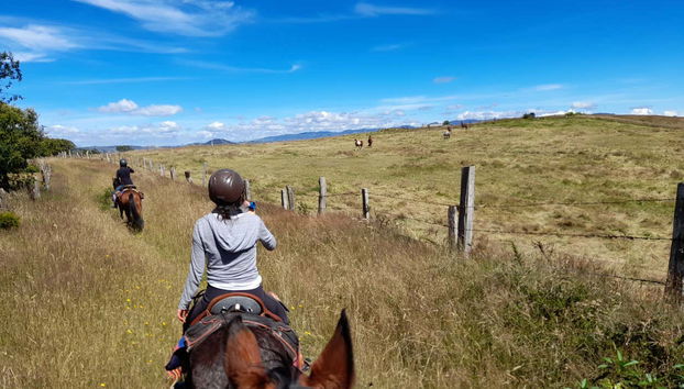Percorrendo as paisagens que rodeiam a lagoa