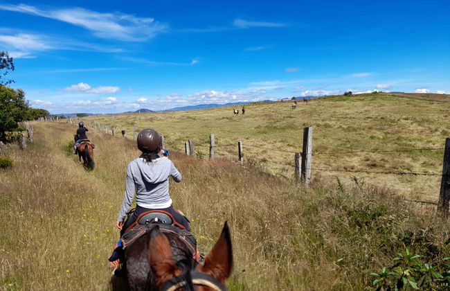 Excursion à cheval à la laguna de Suesca - Photo 4