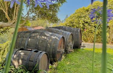 O Moinho de Vale da Mó - Foto 26