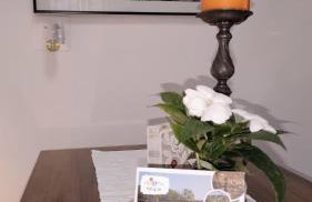 Olive Tree City Apartment - Foto 3