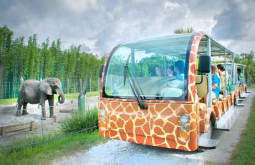 Private Heated Pool 4 MI to Indian Rocks Beach - Foto 55