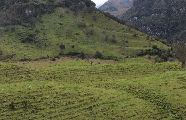 Itinerario privato di trekking a El Bosque + Terme di Canaán - Foto 1