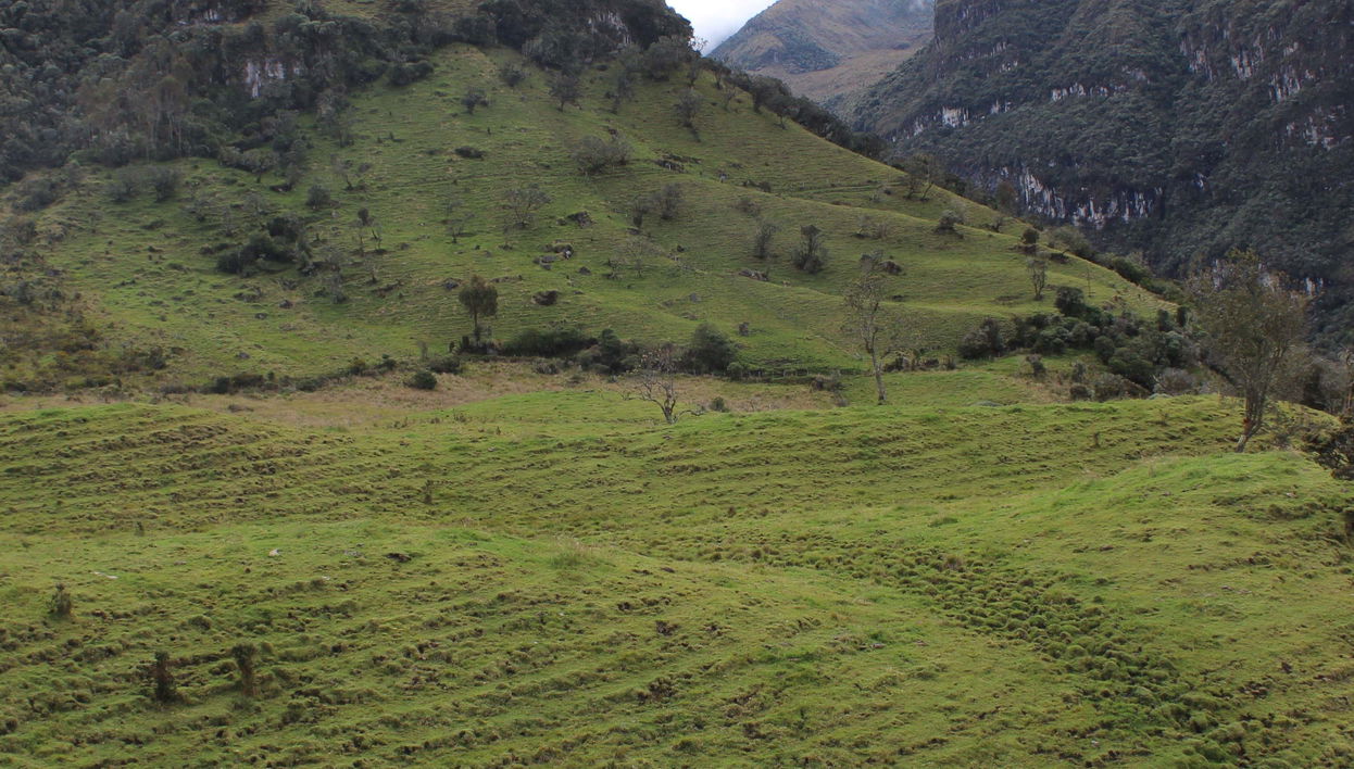 Randonnée privée à El Bosque + Sources chaudes de Canaán