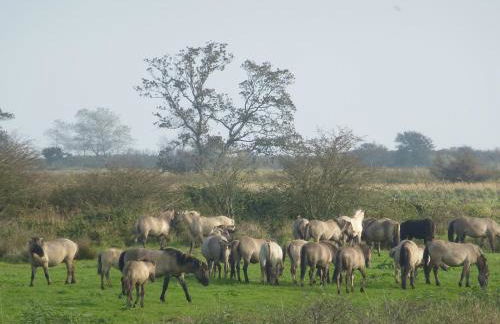 Ferienwohnungen Traumlage - Foto 28