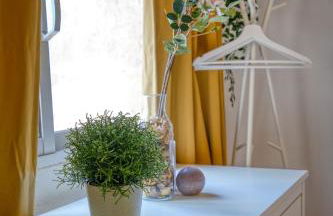 Terrace Charming Century Apartment - Photo 20