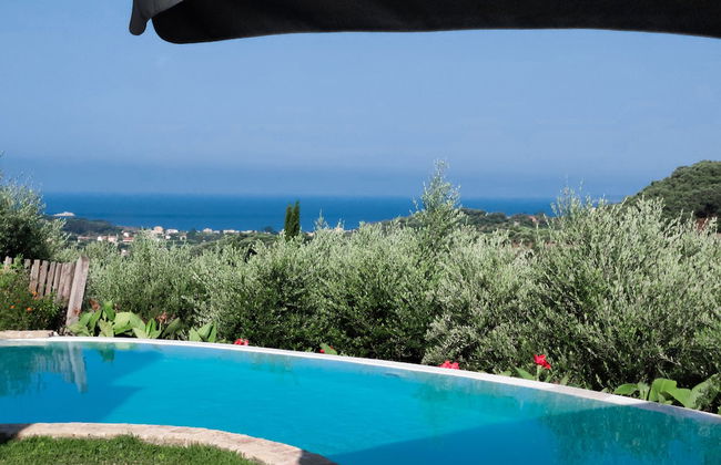 Mastrogiannis villa Myrtia - Foto 22