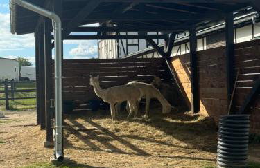 Apartament Chełmiec przy Szczawnie-Zdrój - Foto 37