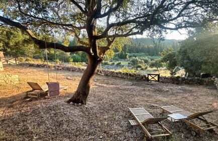 The Root House - Crete Stay - Foto 35