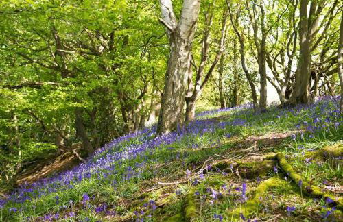 Farm Cottage a cute C17th cottage a walk across the fields to a great pub - Foto 42