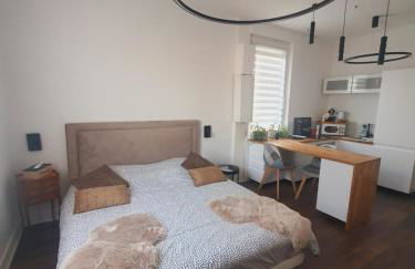 Hôte Stéphanois Studio & parking - Foto 32