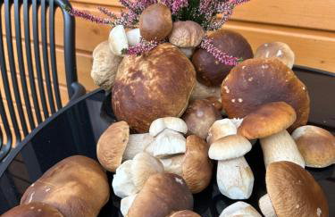 Reset Bieszczady - Foto 35