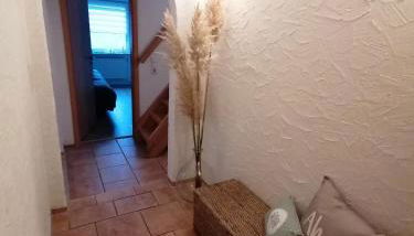 Piratennest - Foto 5