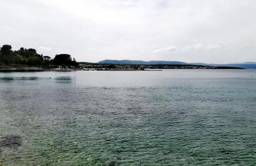 Apartman Tri palme - Foto 31