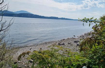 La Suite dell'Artista SWIMMING POOL AND AIR CONDITIONING - Photo 43