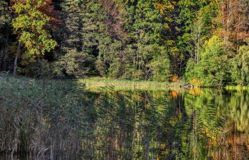 Ferienhaus Boitzenburger Land - Foto 23