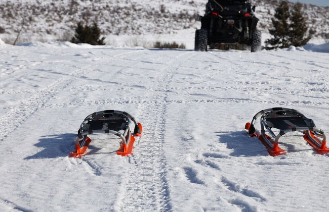 Glenn Haven by Cloud Dream Homes - Foto 34