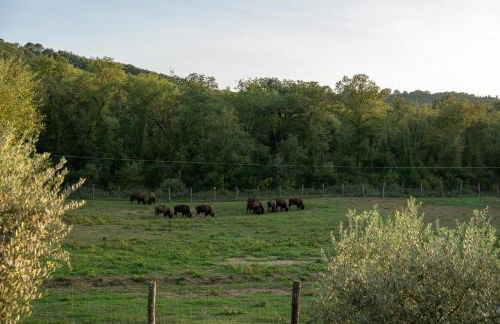 Terra dei Bisonti - Foto 54
