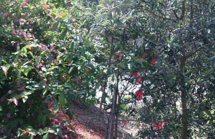 Quinta da Mata - Foto 29