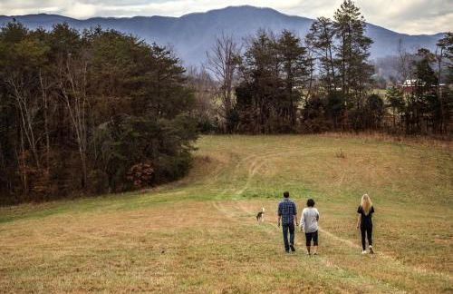 Charming Glamping Rental with Fireplace near Great Smoky Mountains National Park - Foto 33