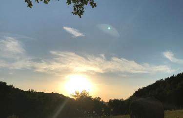 HT CASTELLO DI CAMPOLONGO - Foto 126