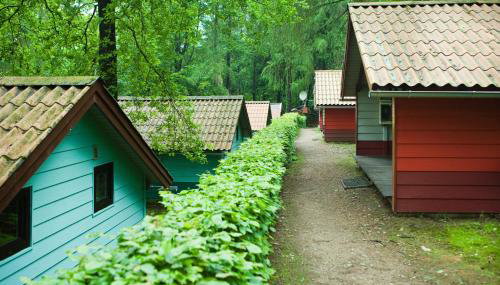 Waldidylle - Bungalows an der Talsperre Kriebstein - Foto 2