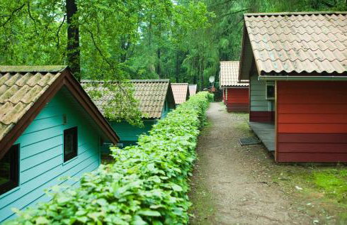 Waldidylle - Bungalows an der Talsperre Kriebstein - Foto 2