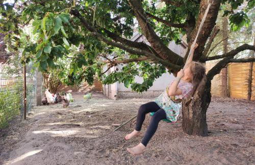 Storchennest mit eigenem Hof, Spielwiese und Terrasse - Foto 12