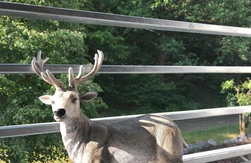 Appartementhaus Angelika - Foto 51