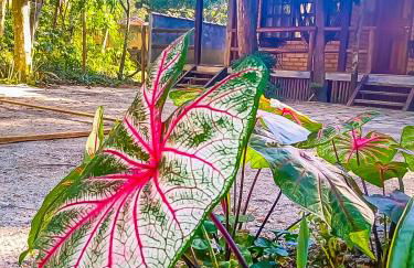 Chalé 05 Itaipu Vale da Colina Niterói - Photo 39