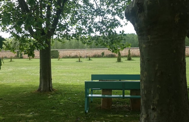 Finca Santa Eufemia - Foto 21