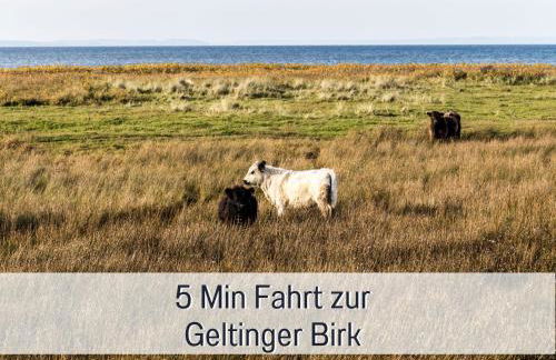 Ferienloft Sternenblick - strandnah, haustierfreundlich, tolle Küche, Workation, Platz für bis zu 5 Erwachsene - Foto 31