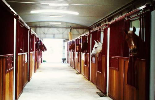 O Cantinho da Penetra AL - Foto 46