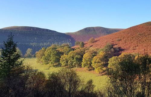 4 Bed in Llandovery oc-82440 - Foto 26