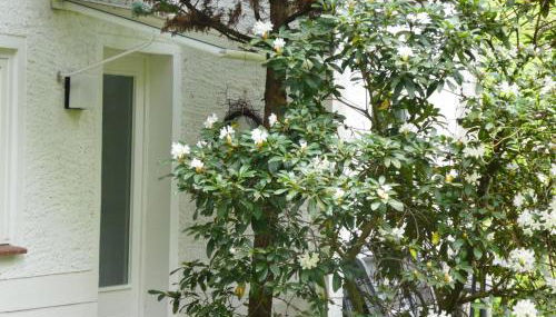 Ferienwohnung Niemann in Lutterloh - Photo 5