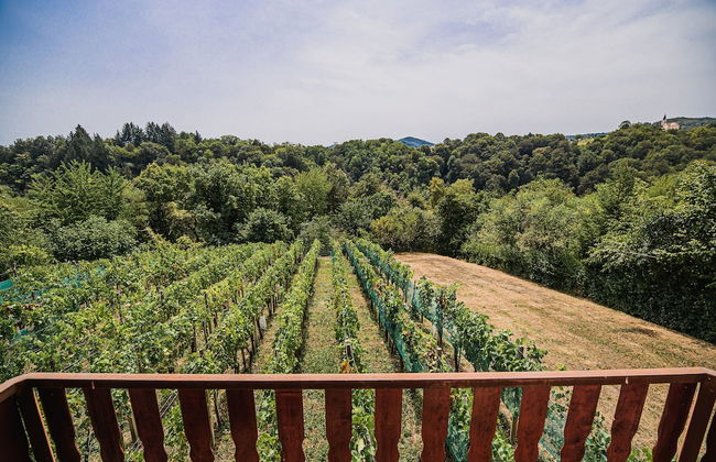 Holiday Home Vesna with Sauna - Foto 12