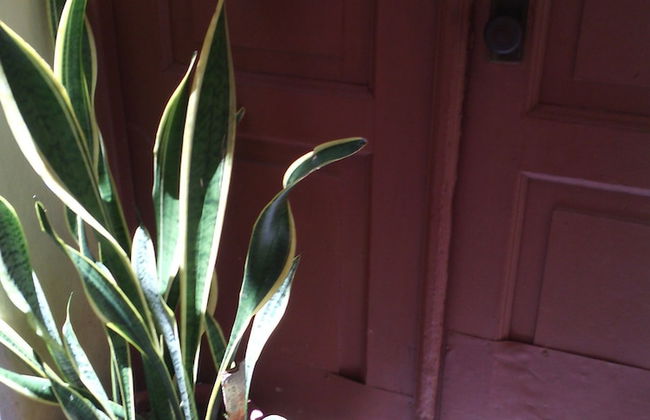 Aparthotel in Havana - Photo 30