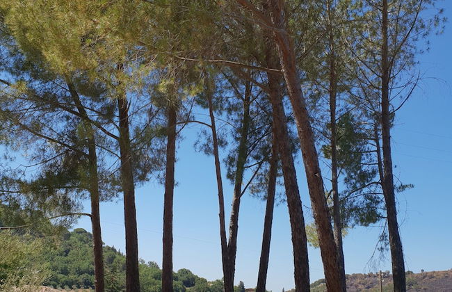 Agriresort Leano - Photo 77