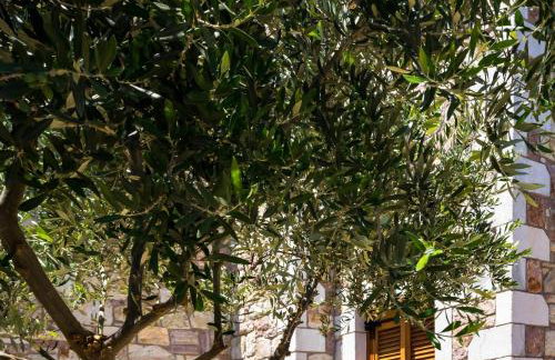 LIOKRINA country living villas & suites - Foto 42