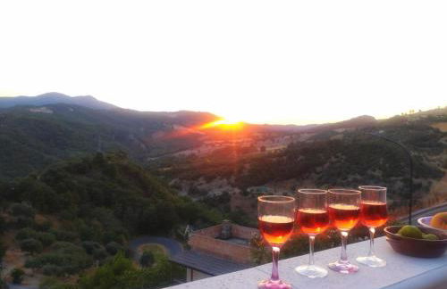 Regina Claudia - Foto 35