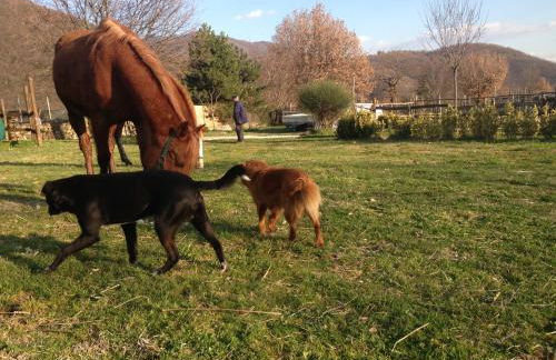 L'Angelo pellegrino miniappartamenti - Foto 54