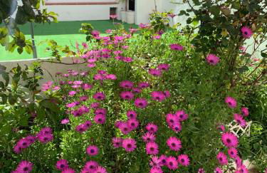 Casa dos Tios Estremoz-veiros - Foto 19