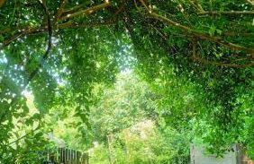 Magic Wood Studio Apartament Koniewo - Foto 6