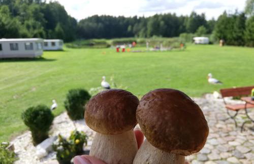 Domki nad stawem w Harszu - Foto 65