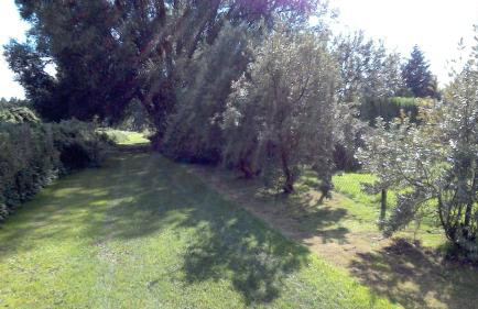Ferienwohnung Otto - Foto 37