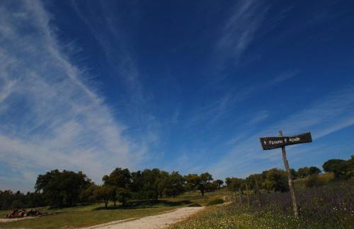 Monte Do Areeiro - Foto 12