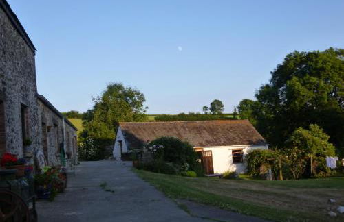 Nantgwynfaen Organic Farm Wales - Photo 25